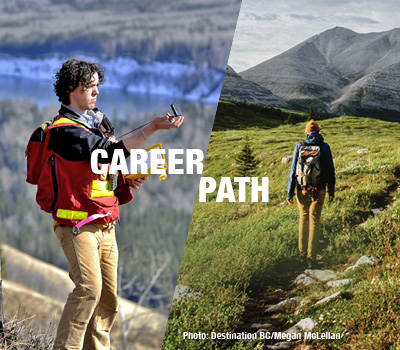 Career - Path