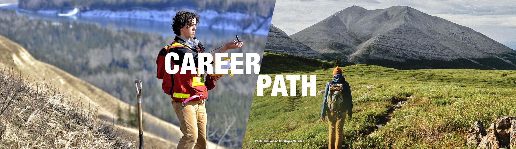 Career - Path