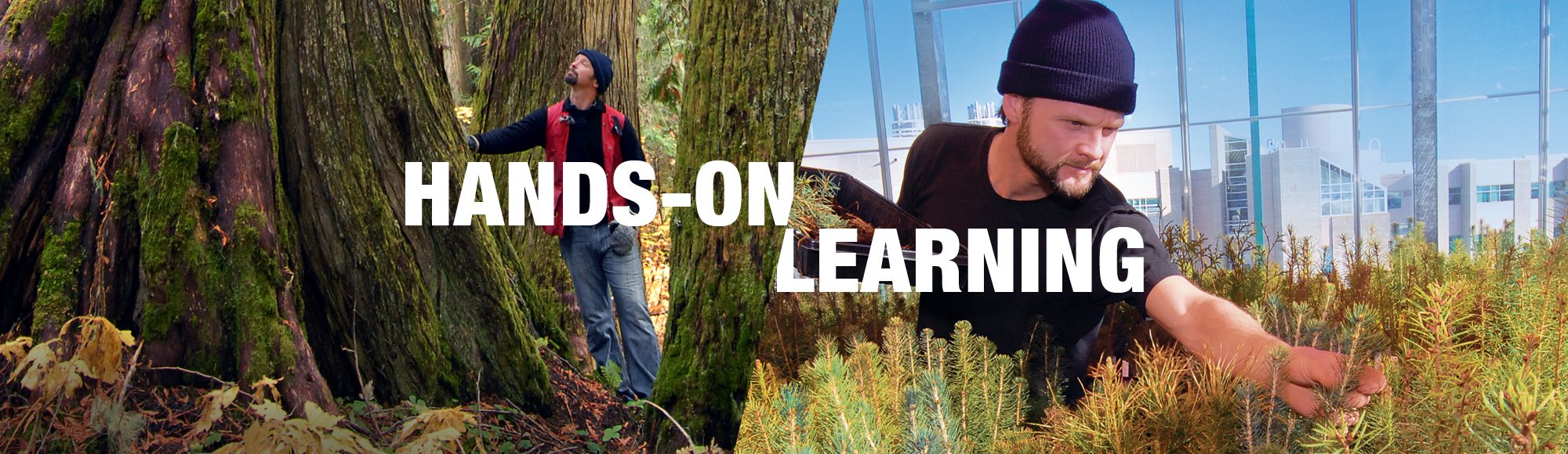 Hands on Learning